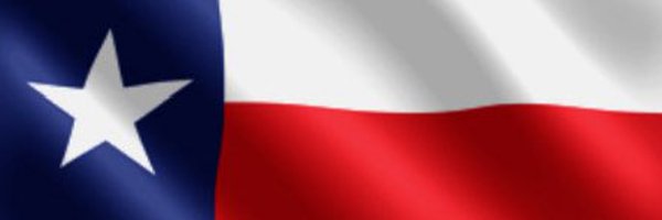 amypatriot17 Profile Banner