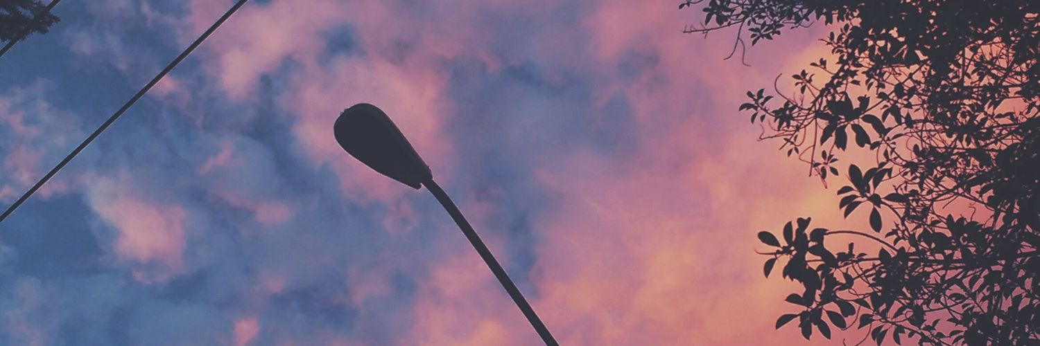aleidarmirez's profile banner image