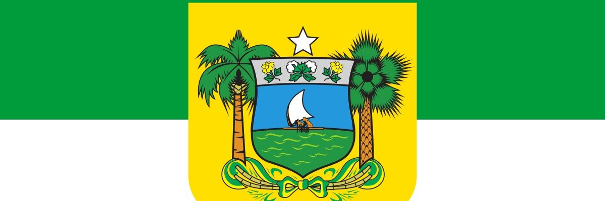 🇧🇷🚩 Allan P. banner