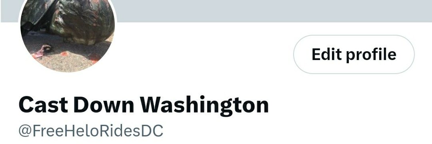 Cast Down Washington Profile Banner