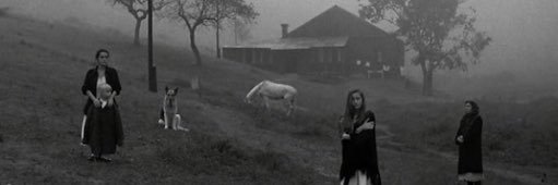caroline banner