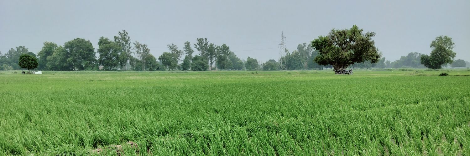 jitendraAyan10's profile banner image