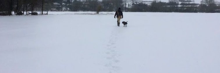 David Staddon - ᛞᚨᚢᛁᛞ ᛊᛏᚨᛞᛞᛟᚾ banner