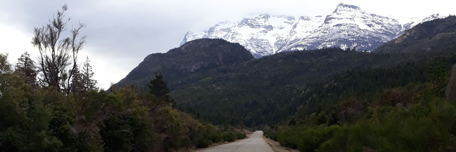 Ricardo Ingram banner