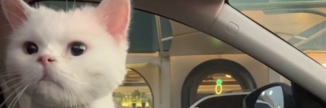 I_fatmh2's profile banner image