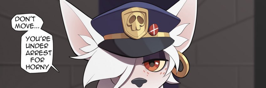 Officer Flint banner