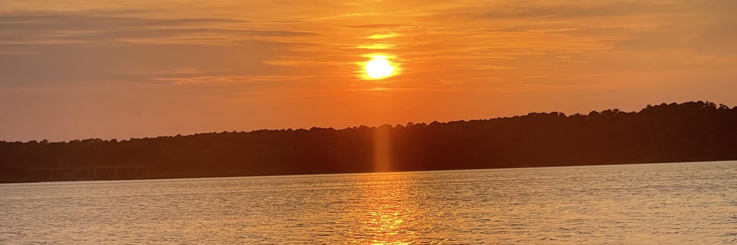 Daniela Pascu banner