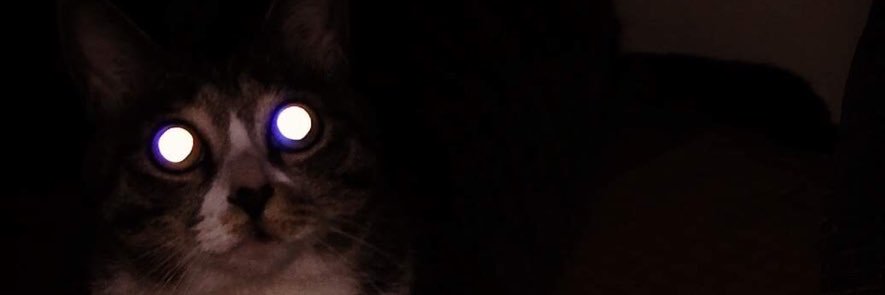 ytysn's profile banner image