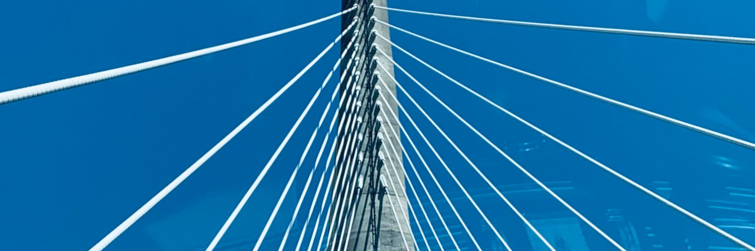 Mandy Johnston banner