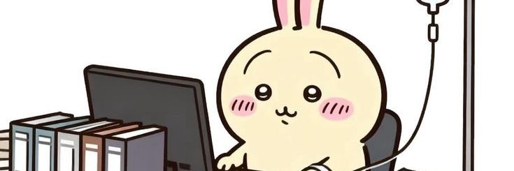 chopoccoco's profile banner image