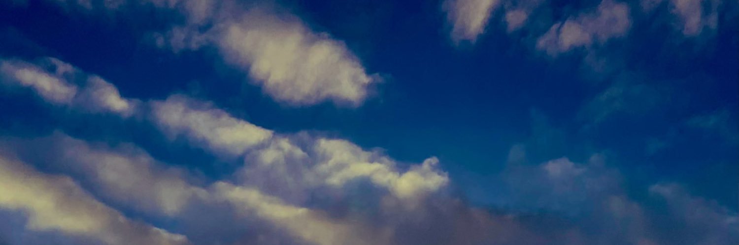びすこ banner
