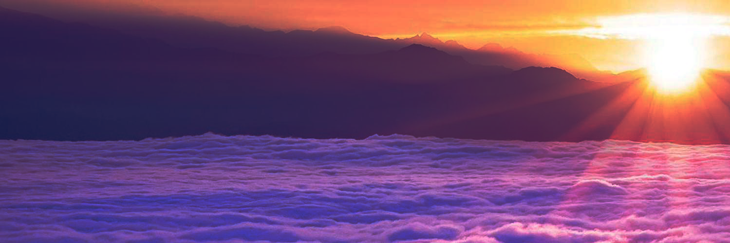 PaperPlanesL's profile banner image