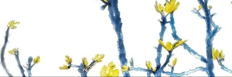 marysafe banner
