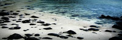 dinhdanthu19901's profile banner image