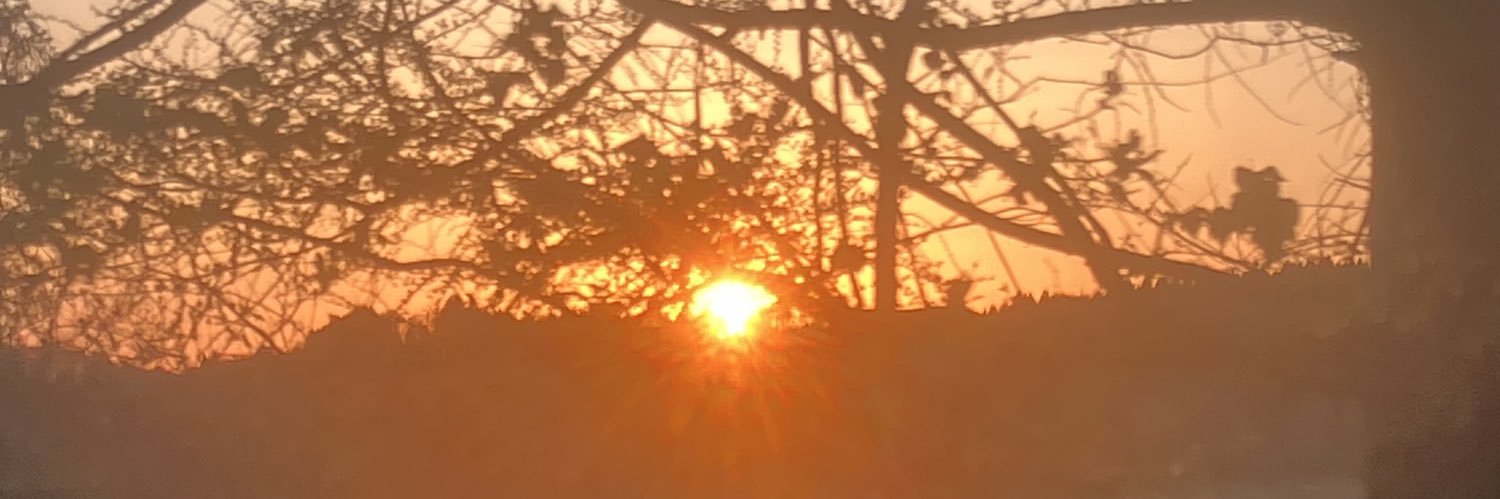 むんちゃん banner