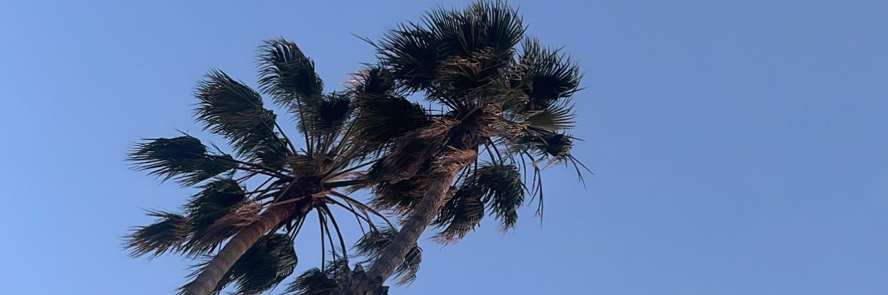 MoeCeo_'s profile banner image