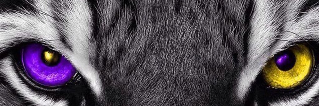 B_ledbetter's profile banner image