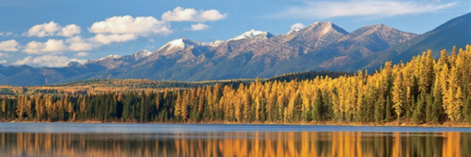 avanzyl's profile banner image