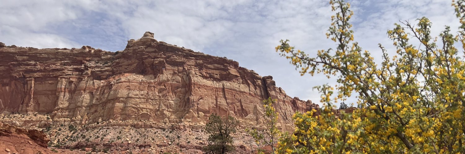 Utah - Wild and Free's banner