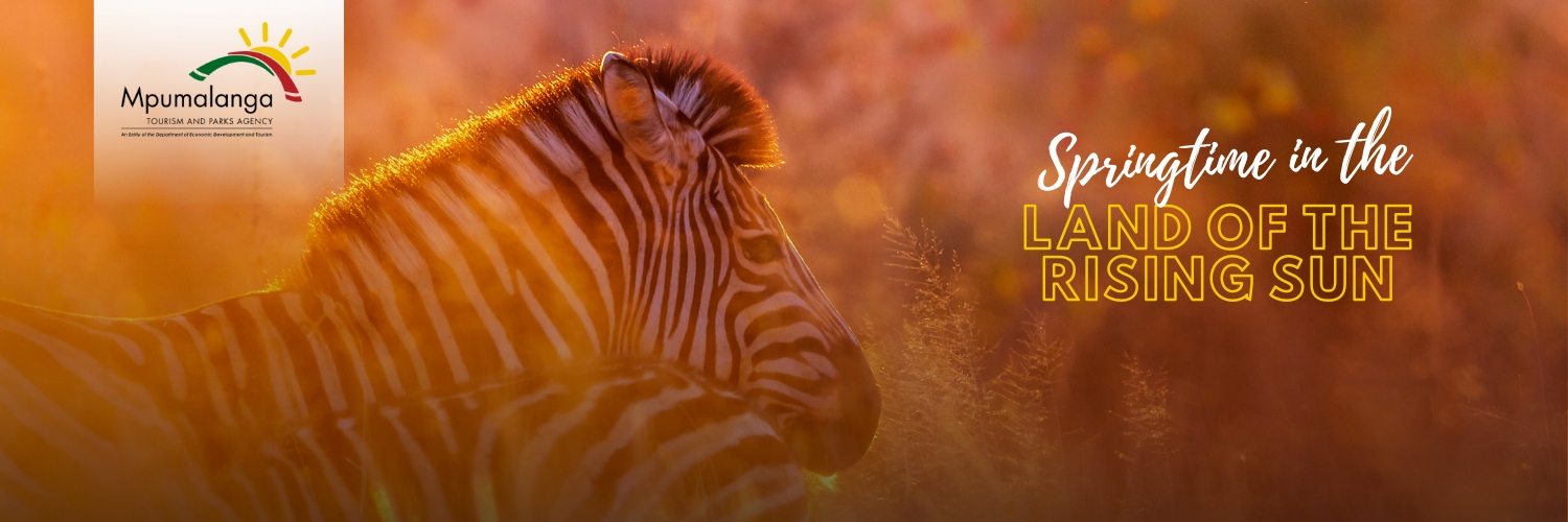 Mpumalanga Tourism banner