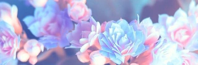 damenrac's profile banner image