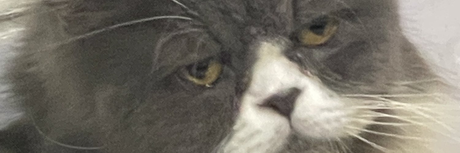 egls_omlette's profile banner image
