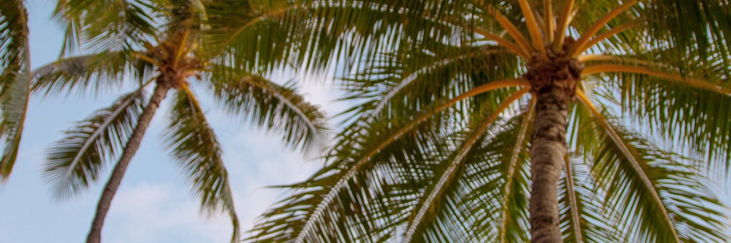 I_will_be_RB's profile banner image