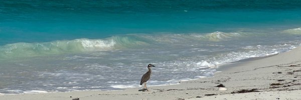 cindyprays Profile Banner