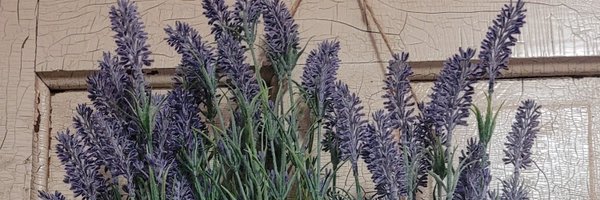 thevincycle Profile Banner