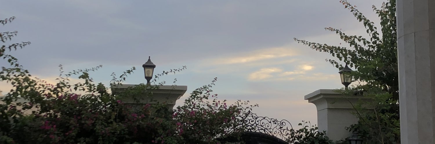 Maria_mustafa1's profile banner image