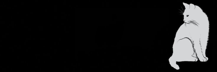 sarcasmaaa's profile banner image