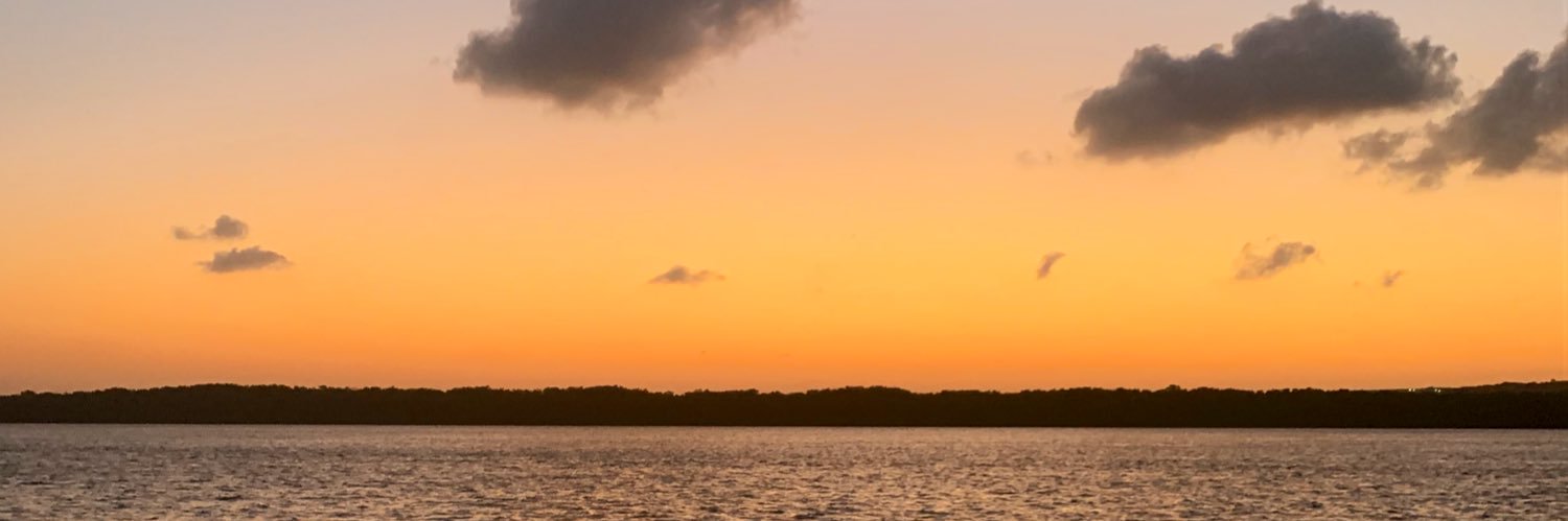 ilauravidal's profile banner image