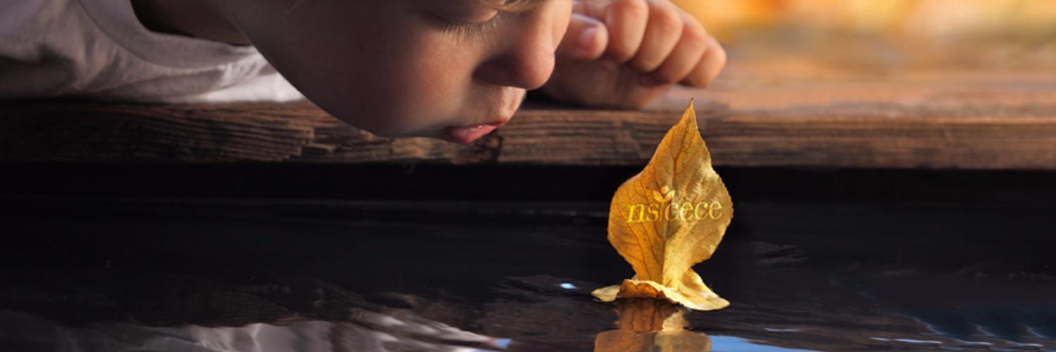 NSCECE's profile banner image