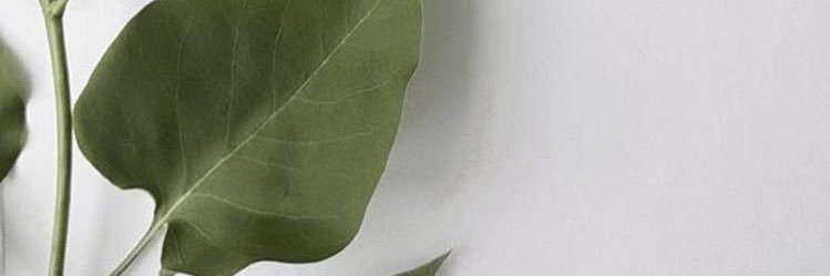 morounkeog's profile banner image