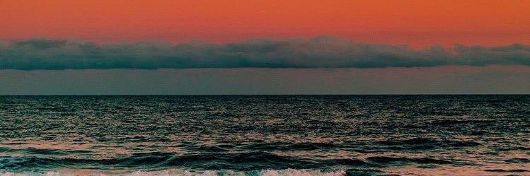 fernandatufari's profile banner image