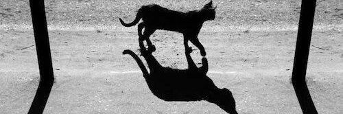 _NoJoda__'s profile banner image