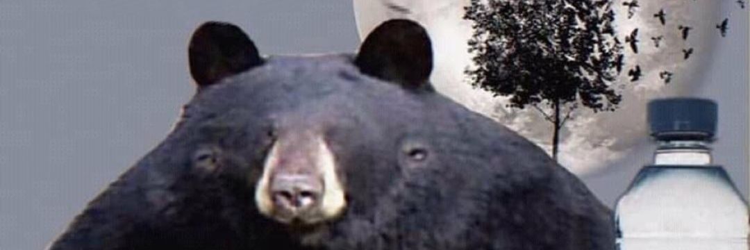 UppaClassWhiteTrash banner