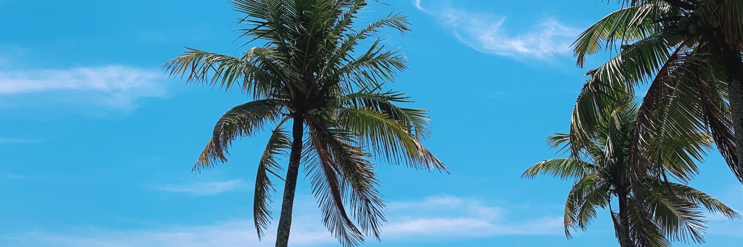 jucovolo's profile banner image