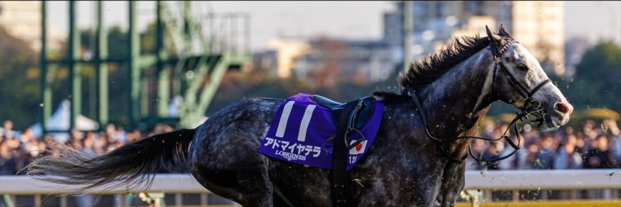 bonryo's profile banner image