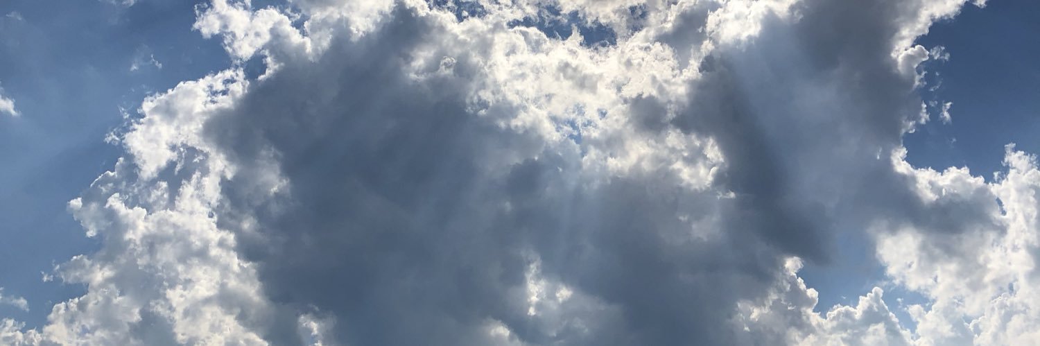 GayleFishel's profile banner image