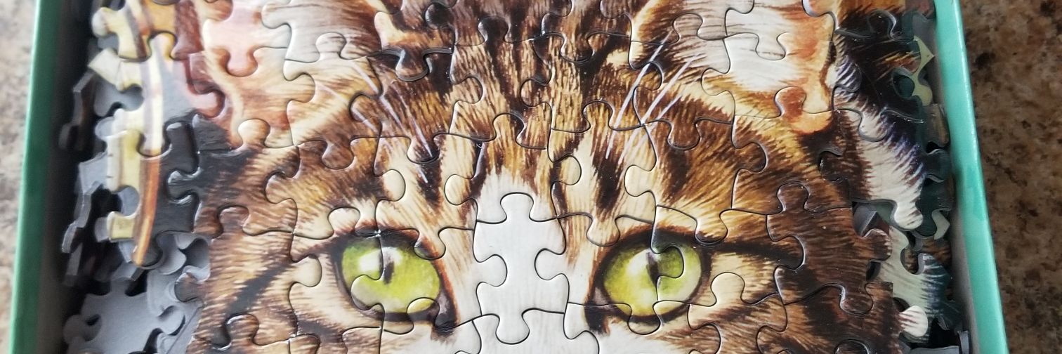 Hey, Daria 🏳️‍⚧️ banner