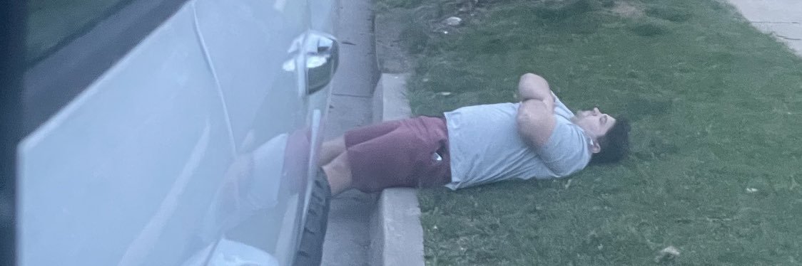 Gods Silliest Goose banner