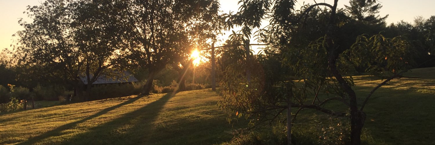 TylerJa14's profile banner image