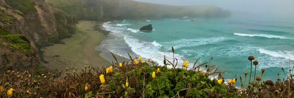 HylaOliver Profile Banner