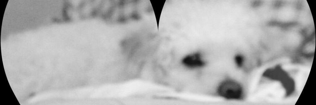 aandreinacano's profile banner image