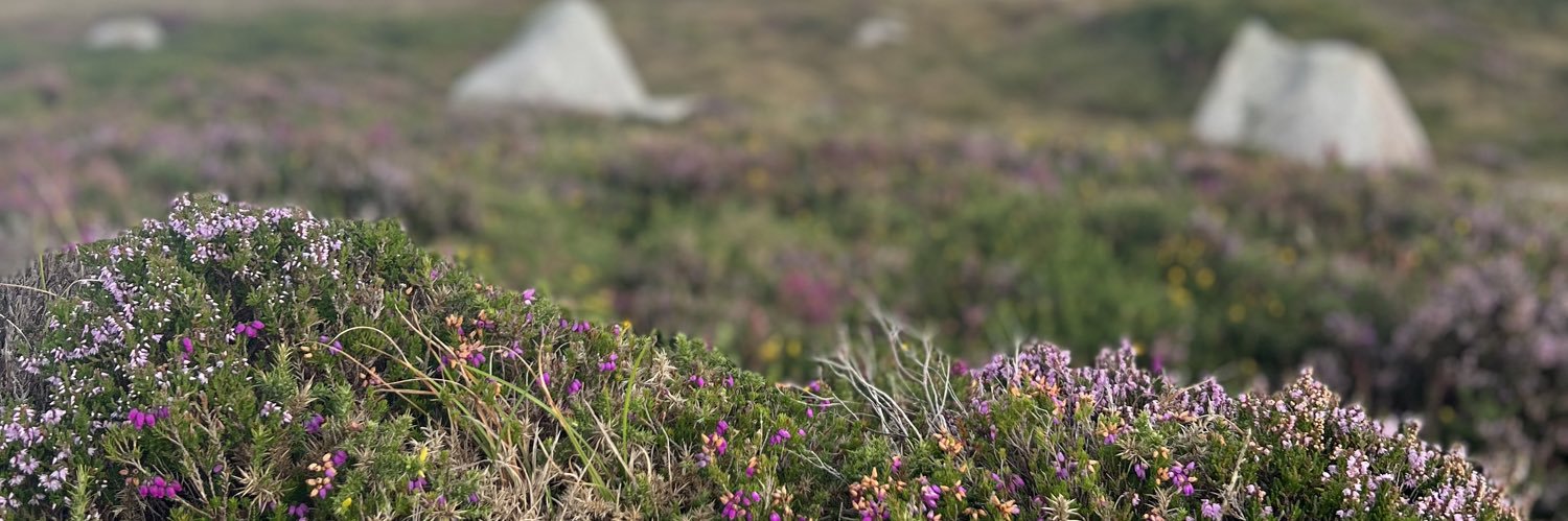 Ronan Kavanagh banner