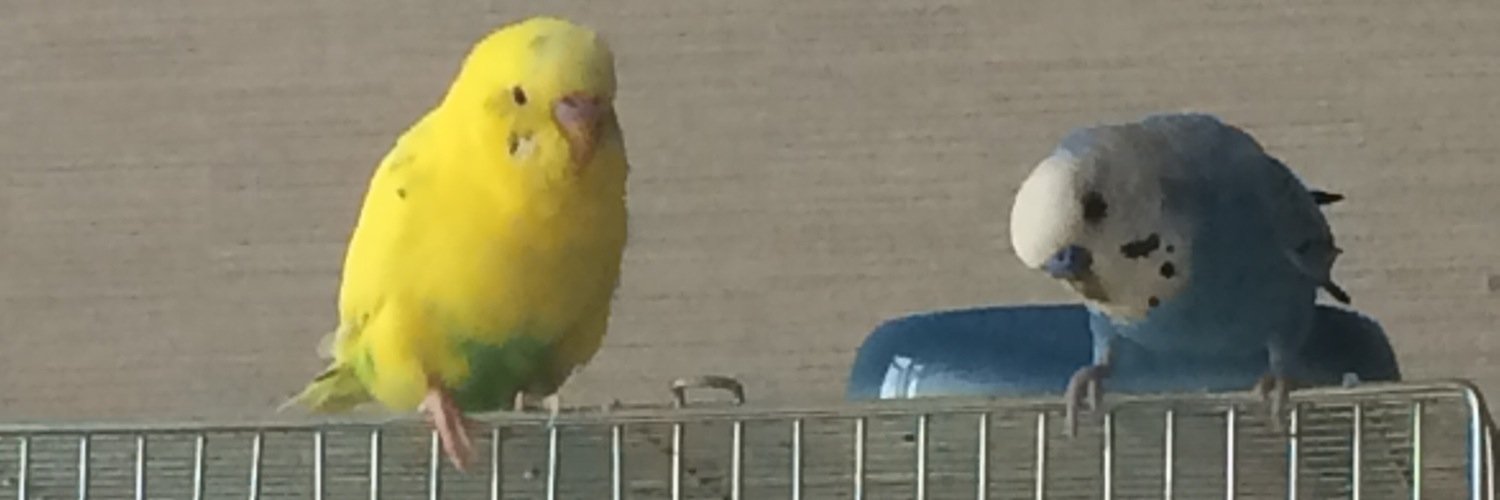 miz319's profile banner image