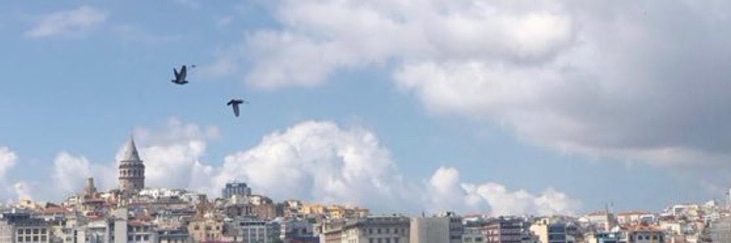 lamosh20111's profile banner image