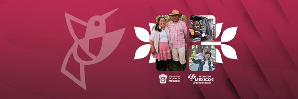 Edomex Profile Banner