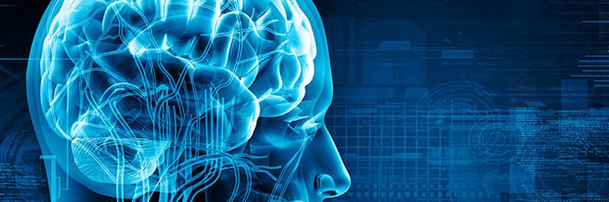 Neurology Board Review banner